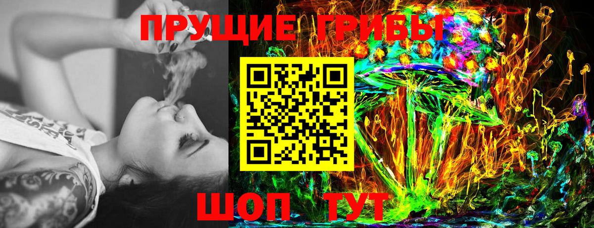 Псилоцибиновые грибы Cubensis Ростов Великий