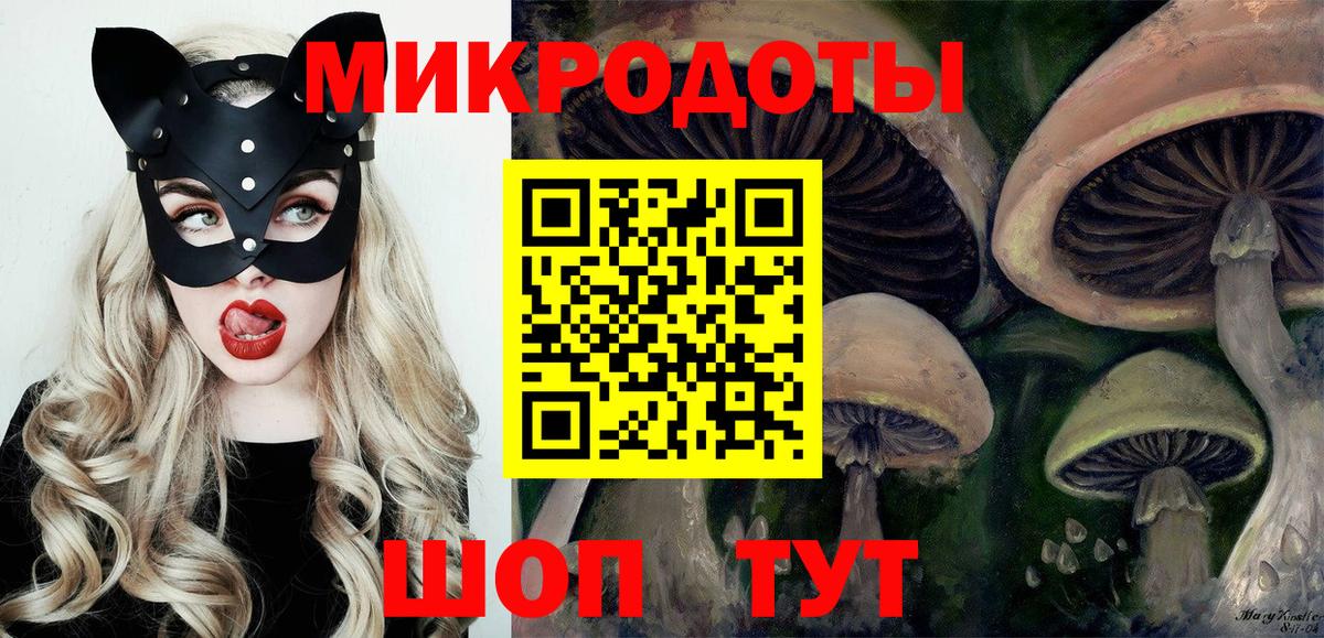 Ростов Великий  Псилоцибиновые грибы Psilocybe  Вход с VPN 